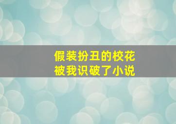 假装扮丑的校花被我识破了小说