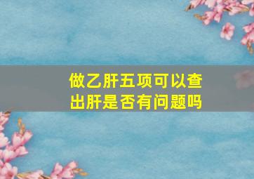 做乙肝五项可以查出肝是否有问题吗