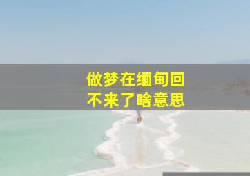 做梦在缅甸回不来了啥意思