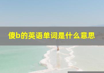 傻b的英语单词是什么意思