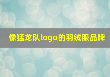 像猛龙队logo的羽绒服品牌