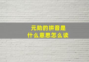 元勋的拼音是什么意思怎么读