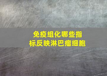 免疫组化哪些指标反映淋巴瘤细胞