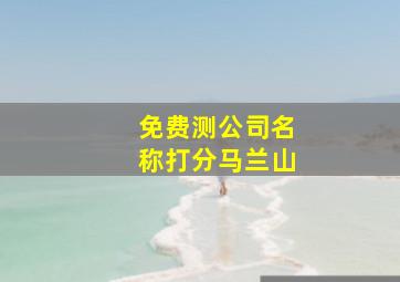 免费测公司名称打分马兰山