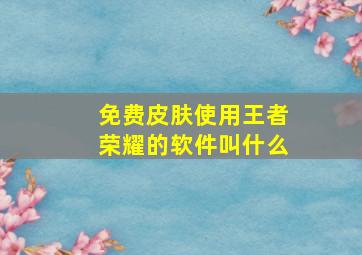 免费皮肤使用王者荣耀的软件叫什么