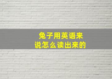 兔子用英语来说怎么读出来的