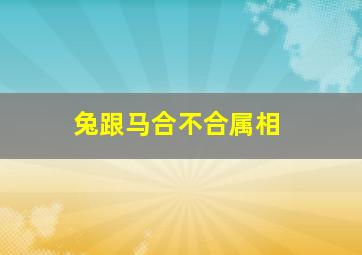 兔跟马合不合属相