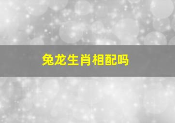 兔龙生肖相配吗