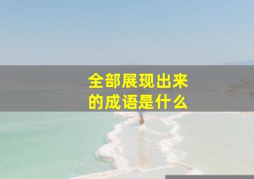 全部展现出来的成语是什么