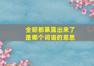 全部都暴露出来了是哪个词语的意思