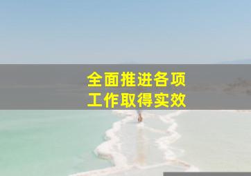 全面推进各项工作取得实效