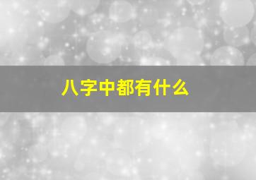 八字中都有什么