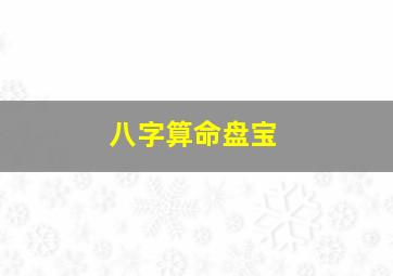 八字算命盘宝