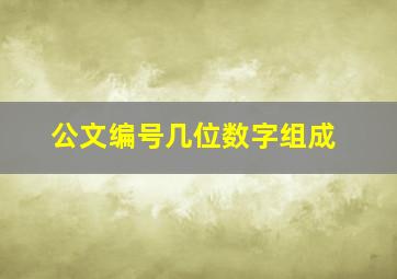 公文编号几位数字组成