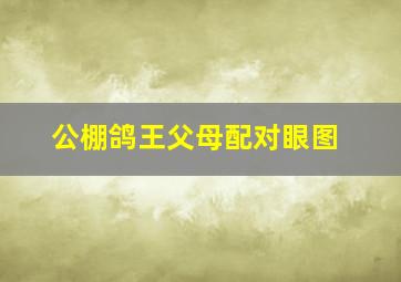 公棚鸽王父母配对眼图