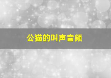 公猫的叫声音频