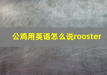 公鸡用英语怎么说rooster