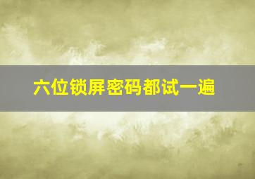 六位锁屏密码都试一遍