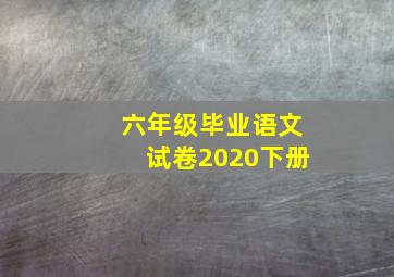 六年级毕业语文试卷2020下册