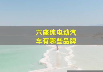 六座纯电动汽车有哪些品牌