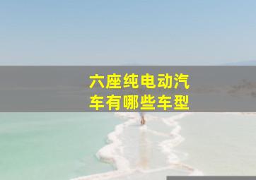 六座纯电动汽车有哪些车型