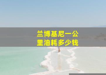 兰博基尼一公里油耗多少钱