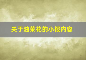 关于油菜花的小报内容