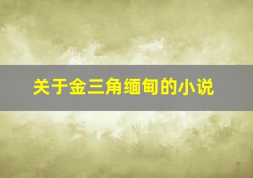 关于金三角缅甸的小说