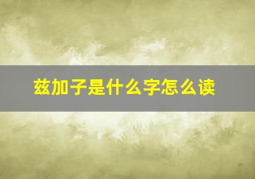 兹加子是什么字怎么读