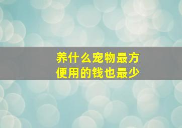 养什么宠物最方便用的钱也最少