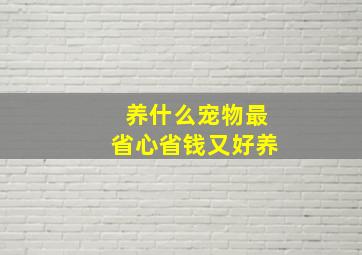 养什么宠物最省心省钱又好养