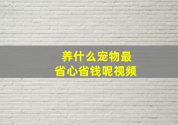 养什么宠物最省心省钱呢视频