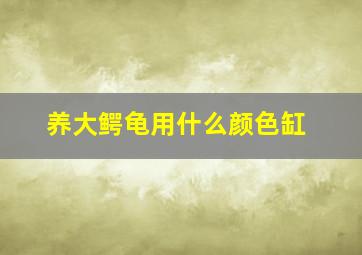 养大鳄龟用什么颜色缸