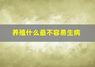 养殖什么最不容易生病