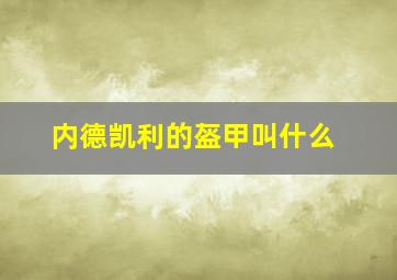 内德凯利的盔甲叫什么