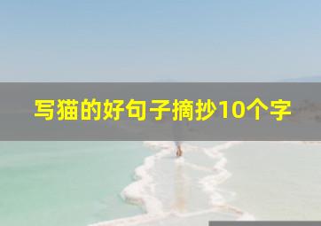 写猫的好句子摘抄10个字