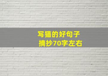 写猫的好句子摘抄70字左右