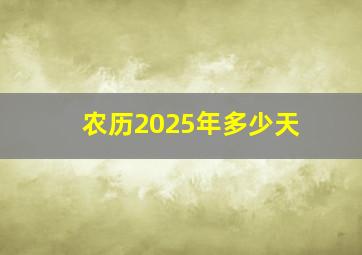 农历2025年多少天