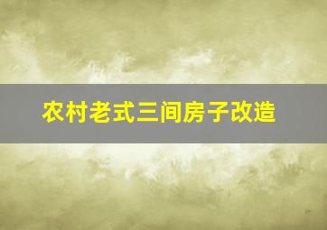 农村老式三间房子改造