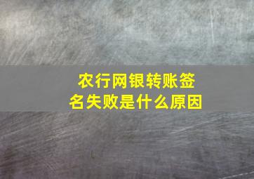 农行网银转账签名失败是什么原因