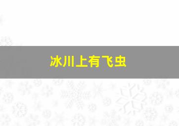 冰川上有飞虫