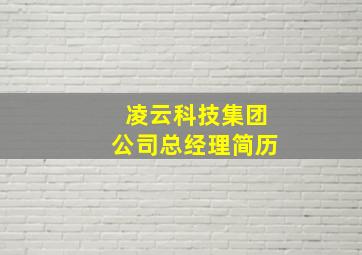 凌云科技集团公司总经理简历