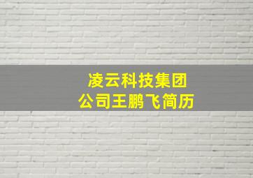 凌云科技集团公司王鹏飞简历