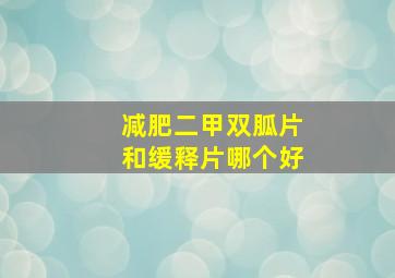 减肥二甲双胍片和缓释片哪个好