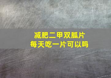 减肥二甲双胍片每天吃一片可以吗