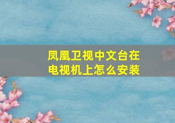 凤凰卫视中文台在电视机上怎么安装