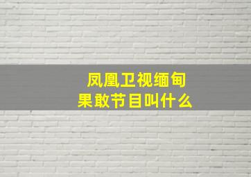 凤凰卫视缅甸果敢节目叫什么