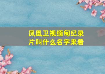 凤凰卫视缅甸纪录片叫什么名字来着