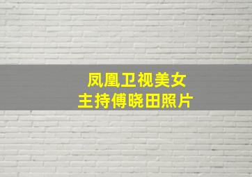 凤凰卫视美女主持傅晓田照片