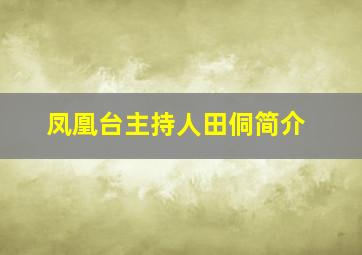 凤凰台主持人田侗简介